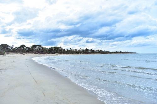 หาดวาสุกรี